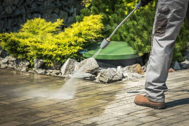 Best Pool Deck Cleaning  in Shrub Oak, NY